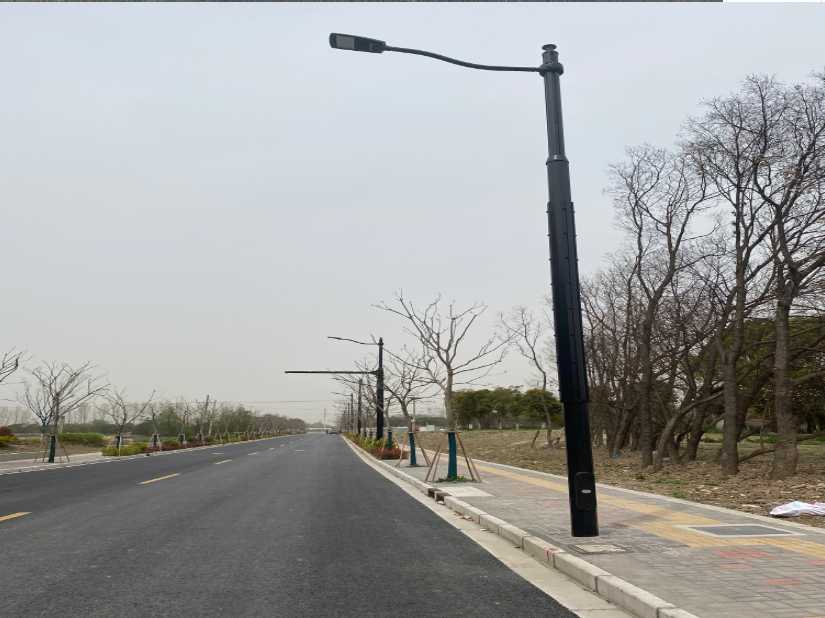 东方市上海综合杆 太阳能路灯工程